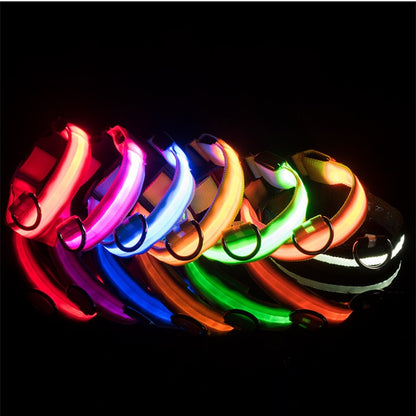 LumiGlow Safety Collar™