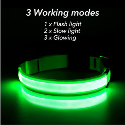 LumiGlow Safety Collar™