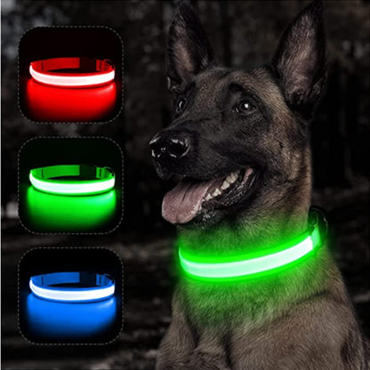 LumiGlow Safety Collar™