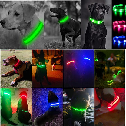 LumiGlow Safety Collar™