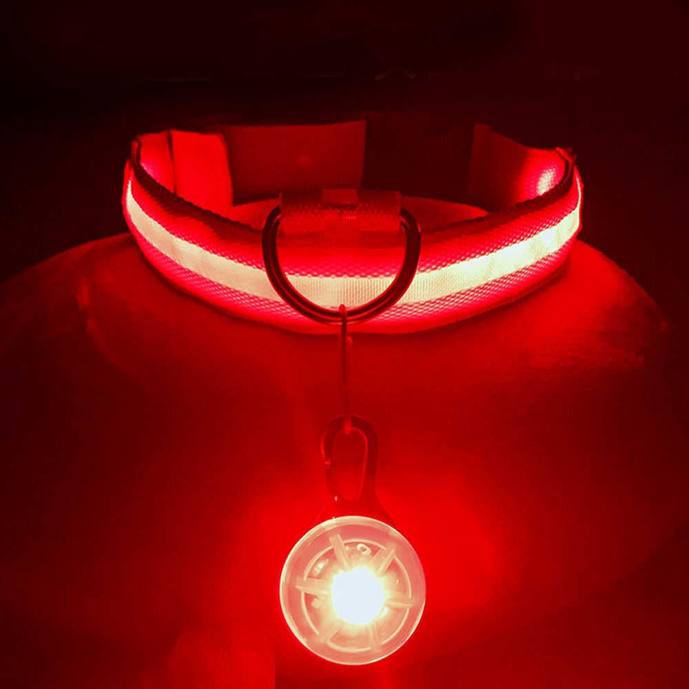 LumiGlow Safety Collar™