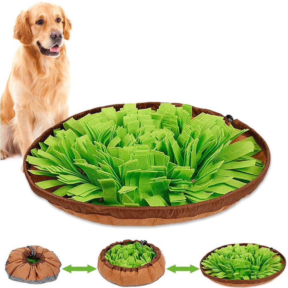 Hide 'n Hunt Snuffle Mat™