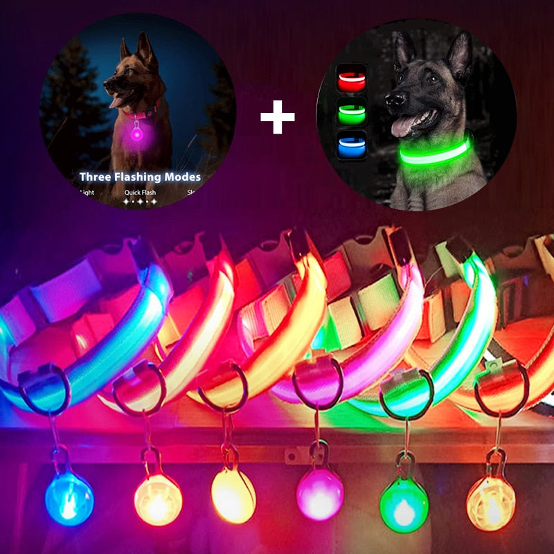 LumiGlow Safety Collar™